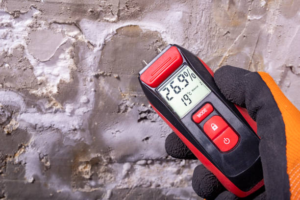 Best Mold Inspection  in Orient, NY