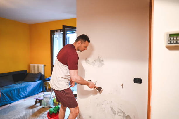 Home Mold Removal in Orient, NY